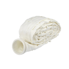 Special 100% PTFE pleated filter bag